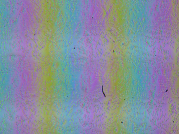 Обзор игрового ноутбука Maibenben Typhoon X16A на базе AMD Ryzen 7 7435 и Nvidia GeForce RTX 4060 Laptop Обзор игрового ноутбука Maibenben Typhoon X16A на базе AMD Ryzen 7 7435 и Nvidia GeForce RTX 4060 Laptop