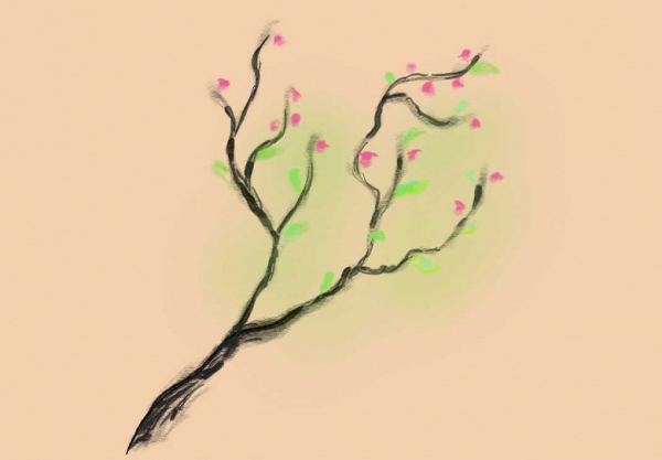 Обзор планшета XPPen Magic Note Pad, позиционируемого как блокнот для заметок Обзор планшета XPPen Magic Note Pad, позиционируемого как блокнот для заметок