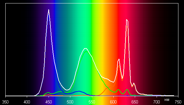 Обзор ноутбука для начинающих OSiO FocusLine F160a на базе AMD Ryzen 5 5500U Обзор ноутбука для начинающих OSiO FocusLine F160a на базе AMD Ryzen 5 5500U