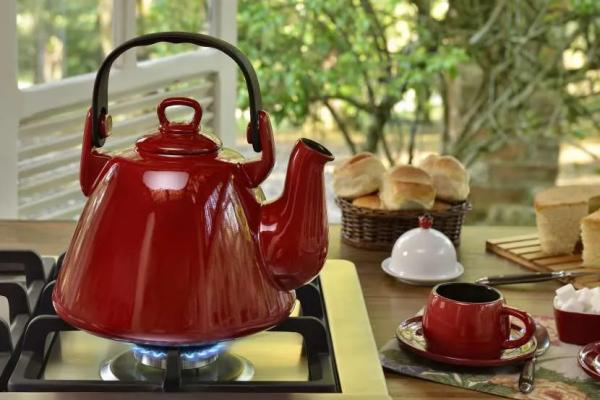 Какой чайник лучше купить для газовой плиты: выбор подходящей модели по критериям и рейтингу Какой чайник лучше купить для газовой плиты: выбор подходящей модели по критериям и рейтингу