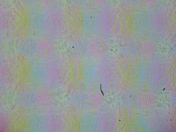 Обзор игрового ноутбука Thunderobot Range 17 Pro Обзор игрового ноутбука Thunderobot Range 17 Pro