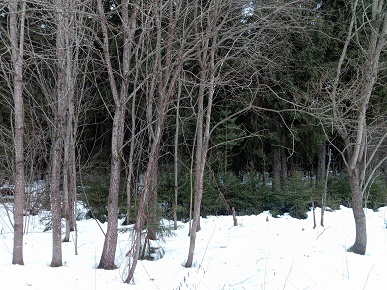 Обзор 12-дюймового планшета Teclast T60 Plus Обзор 12-дюймового планшета Teclast T60 Plus