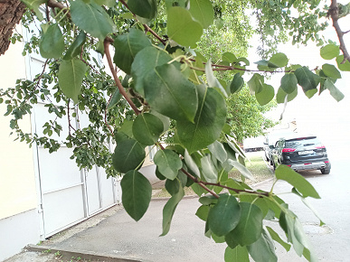 Обзор планшета Digma Pro Empire