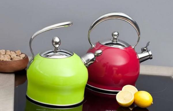 Какой чайник лучше купить для газовой плиты: выбор подходящей модели по критериям и рейтингу Какой чайник лучше купить для газовой плиты: выбор подходящей модели по критериям и рейтингу