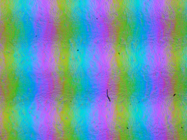 Обзор игрового ноутбука Asus ROG Strix Scar 18 G835LX с Intel Core Ultra 9 275HX и Nvidia GeForce RTX 5090 Laptop Обзор игрового ноутбука Asus ROG Strix Scar 18 G835LX с Intel Core Ultra 9 275HX и Nvidia GeForce RTX 5090 Laptop