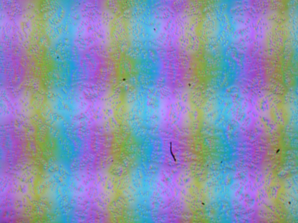 Обзор игрового ноутбука Gigabyte Aorus 16X (2024) ASG с Intel Core i9-14900HX и Nvidia GeForce RTX 4070 Laptop Обзор игрового ноутбука Gigabyte Aorus 16X (2024) ASG с Intel Core i9-14900HX и Nvidia GeForce RTX 4070 Laptop