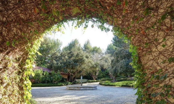 Дом Дуэйна Джонсона: как живет главный герой фильма &laquo;Царь скорпионов&raquo;