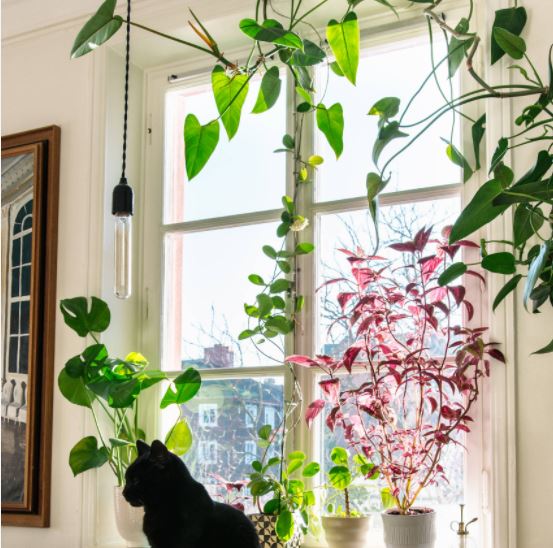 Чем заменить тюль и шторы: 9 альтернатив классическим шторам Чем заменить тюль и шторы: 9 альтернатив классическим шторам