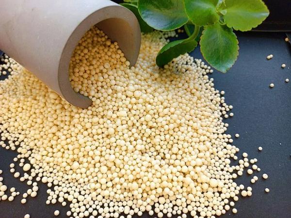 Какую зелень можно выращивать на подоконнике Какую зелень можно выращивать на подоконнике