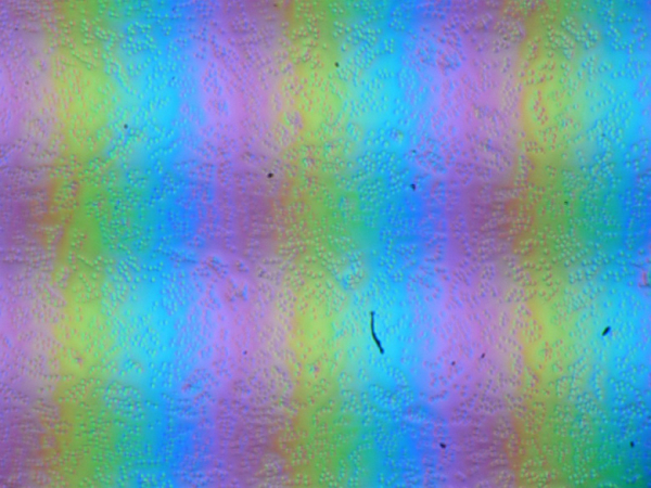 Обзор игрового ноутбука OSiO CyberLine C160i: старшая модель нового российского бренда