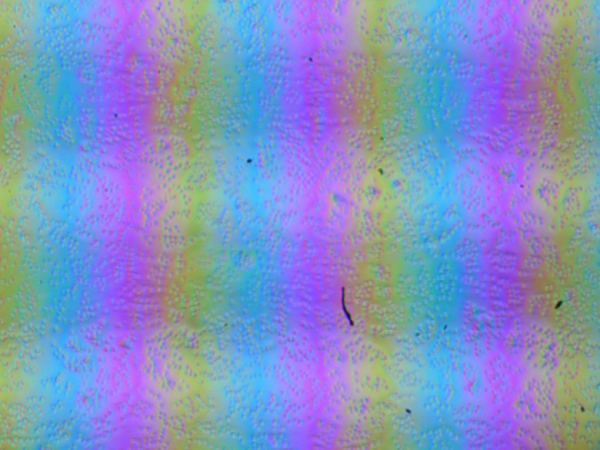 Обзор бизнес-ноутбука Acer TravelMate P6 14 (TMP614-53T-77RT) с сенсорным экраном и 5G/LTE Обзор бизнес-ноутбука Acer TravelMate P6 14 (TMP614-53T-77RT) с сенсорным экраном и 5G/LTE