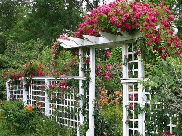 Что такое пергола и как ее обустроить Что такое пергола и как ее обустроить