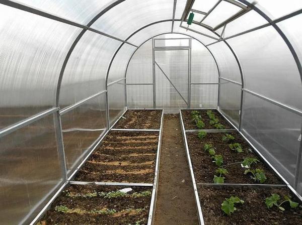 Обустройство теплицы внутри