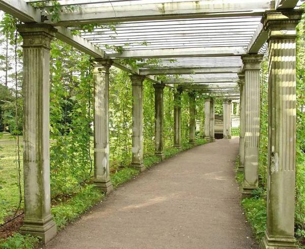 Что такое пергола и как ее обустроить Что такое пергола и как ее обустроить