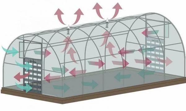 Обустройство теплицы внутри