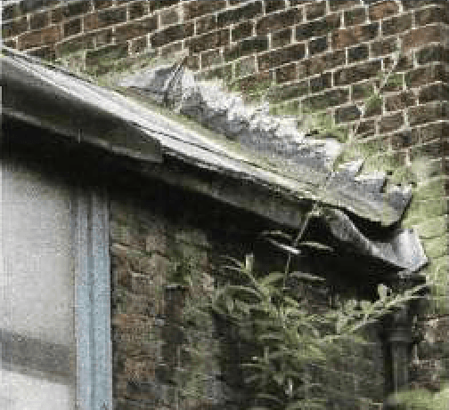 Борьба с сыростью и конденсатом в доме и на даче Борьба с сыростью и конденсатом в доме и на даче