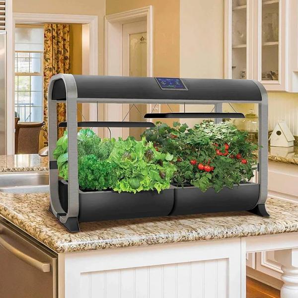 Какую зелень можно выращивать на подоконнике Какую зелень можно выращивать на подоконнике