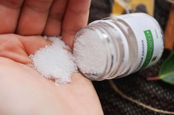 Янтарная кислота для полива цветов: как правильно развести и использовать Янтарная кислота для полива цветов: как правильно развести и использовать