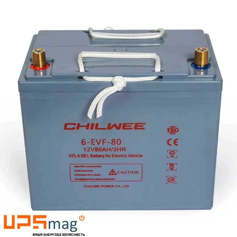 Общее описание 6-EVF-80 Общее описание 6-EVF-80