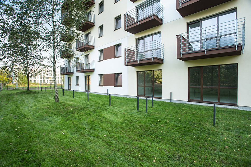 Фото: Photographee.eu/shutterstock