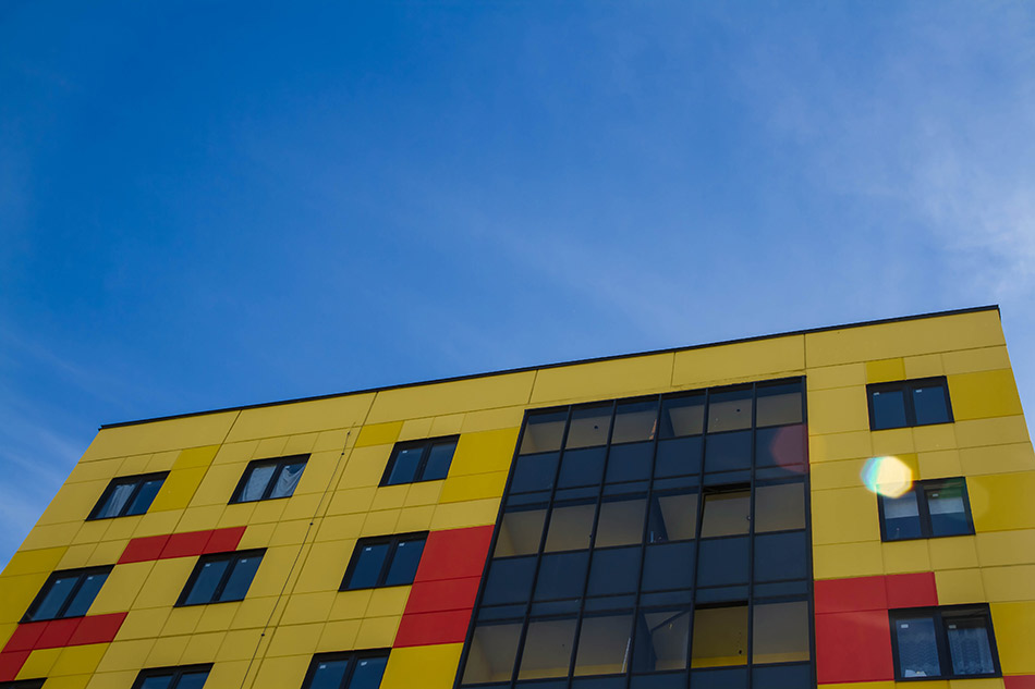 Фото: TitalLital/shutterstock