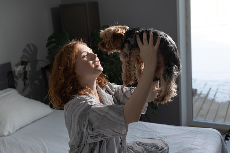 Использование звукопоглощающих средств для создания комфортной обстановки