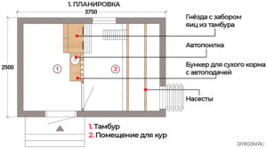Чертеж курятника на 10, 20 и 30 кур — 08 Ноября 2025 — Чертежи и схемы для строительства на участке своими руками — DIYROOM